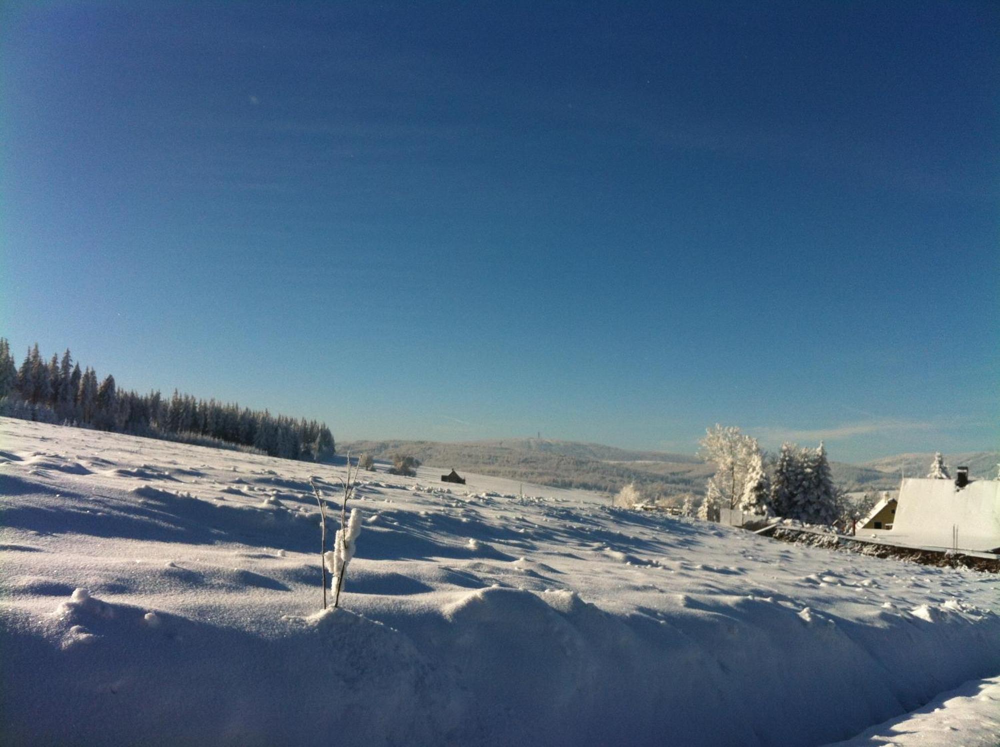 Vila K Zastavce 557 Kovářská Exteriér fotografie