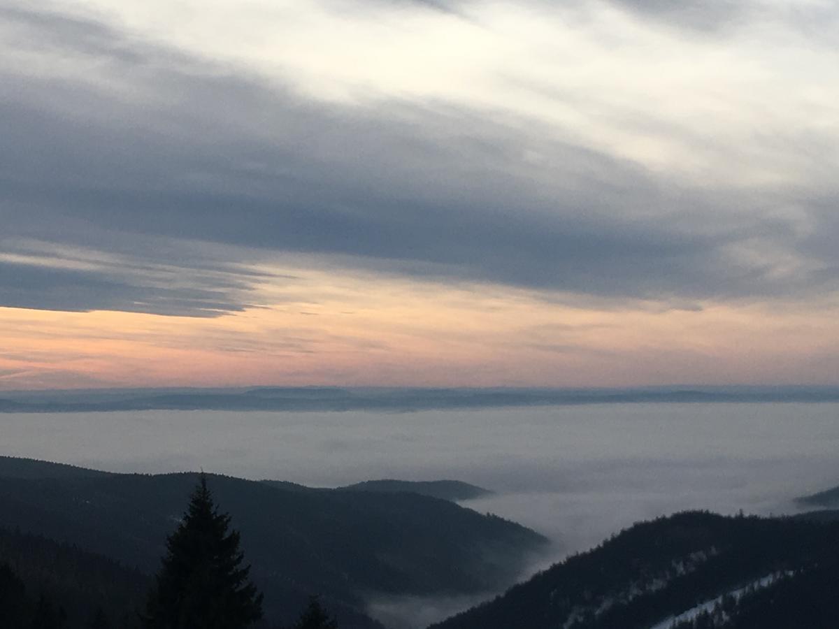 Vila K Zastavce 557 Kovářská Exteriér fotografie